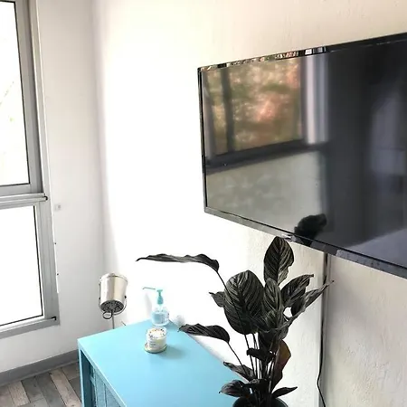 Appartement Beau Avec Piscine Cannes